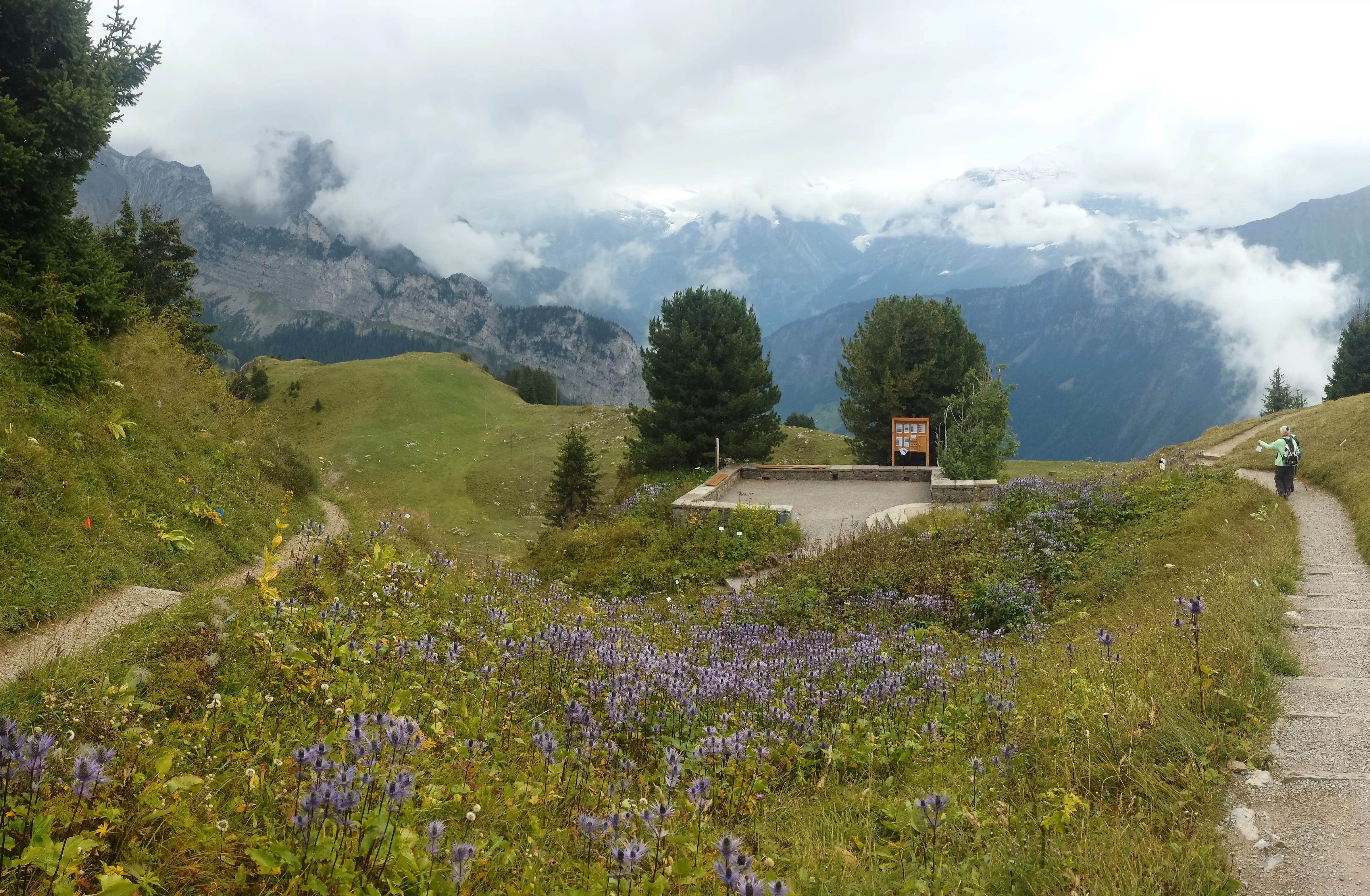 Schynige Platte Panorama Trail in Switzerland, Europe | Trekking & Hiking - Rated 0.8
