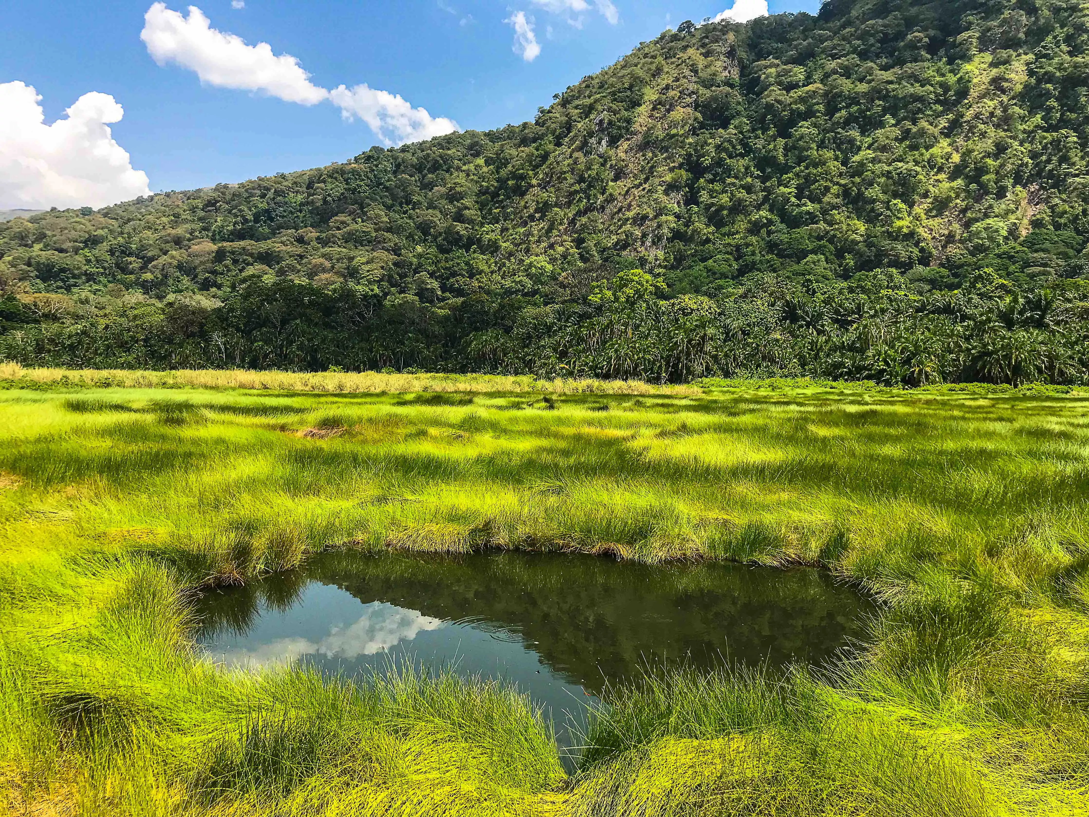 Semuliki National Park in Uganda, Africa | Parks,Trekking & Hiking - Rated 0.7
