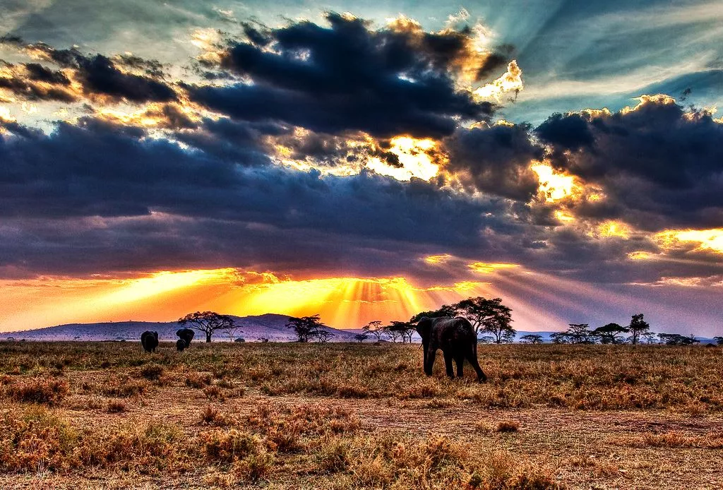 Serengeti National Park in Tanzania, Africa | Nature Reserves,Parks - Rated 4.1