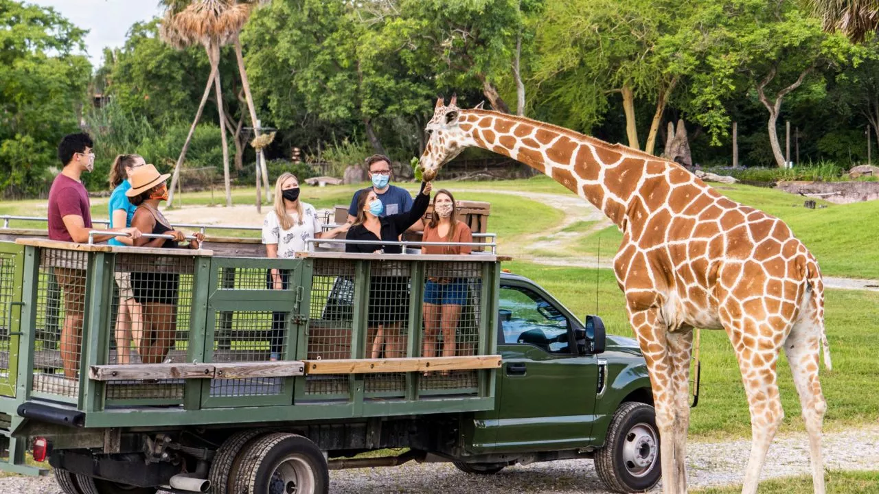 Serengeti Safari in USA, North America | Zoos & Sanctuaries,Safari - Rated 4