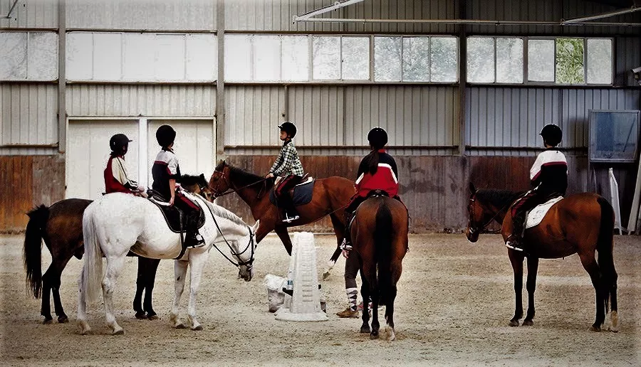 Shanghai Songsheng Equestrian Club in China, East Asia | Horseback Riding - Rated 0.7