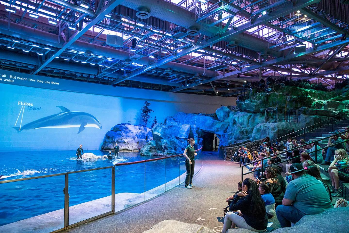 Shedd Aquarium in USA, North America | Aquariums & Oceanariums - Rated 6.5