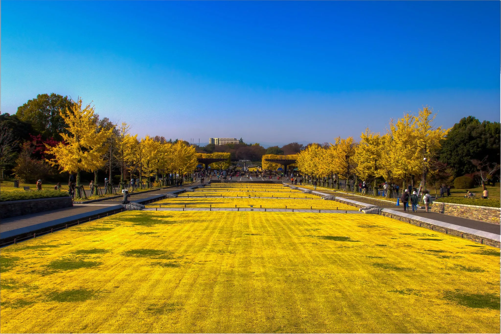 Shewa Memorial Park in Japan, East Asia | Parks - Rated 3.6