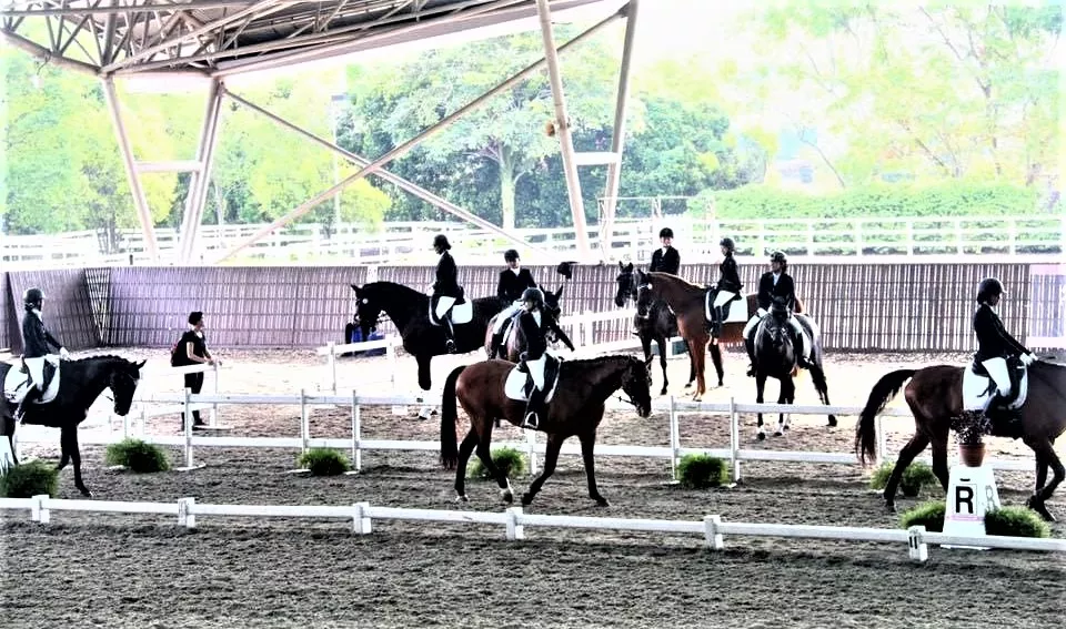 National Equestrian Centre in Singapore, Central Asia | Horseback Riding - Rated 1