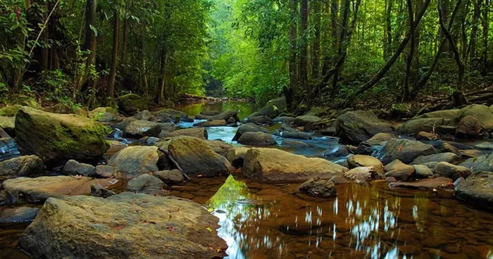 Sinharaja Forest Reserve in Sri Lanka, Central Asia | Nature Reserves - Rated 3.7