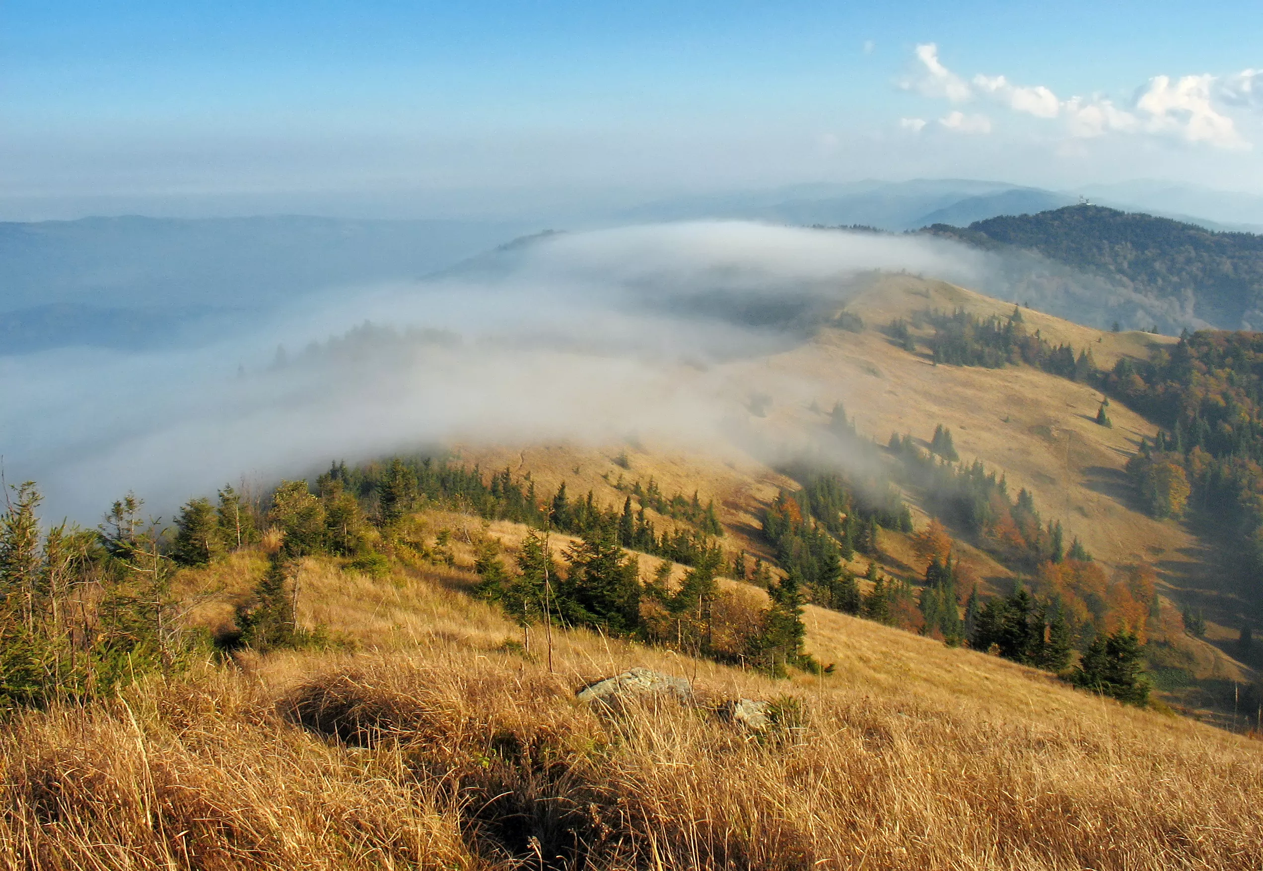 Skolivski Beskydy National Park in Ukraine, Europe | Parks,Trekking & Hiking - Rated 4.2
