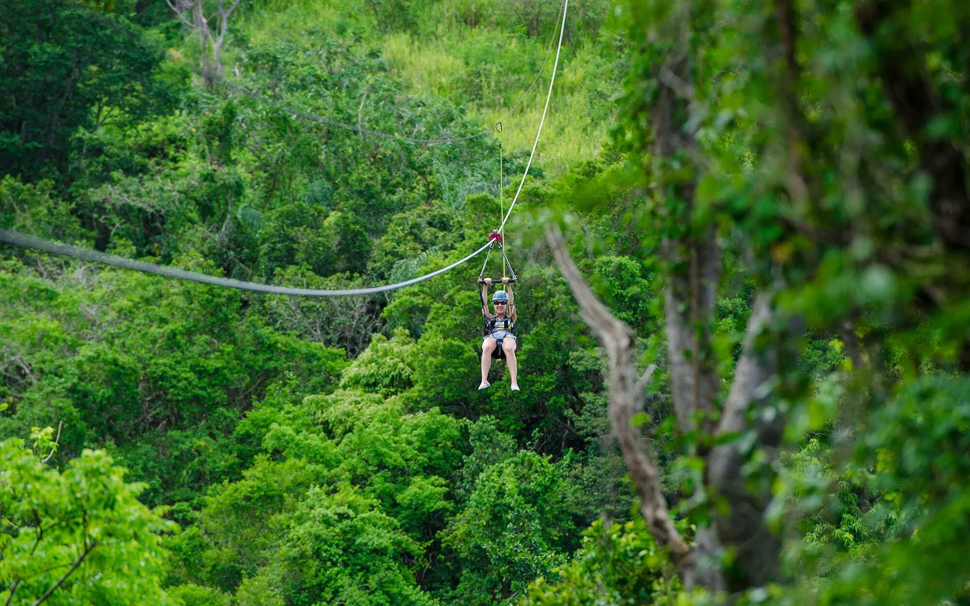 Sky Safari Zipline in Saint Kitts and Nevis, Caribbean | Zip Lines - Rated 0.9