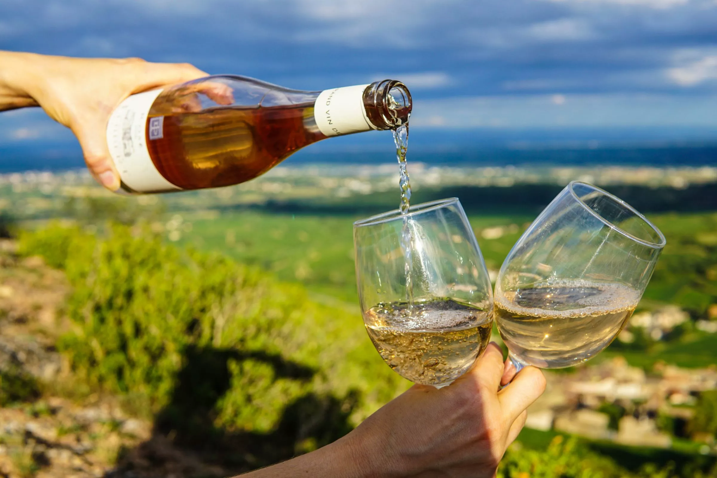 Toreta Winery in Croatia, Europe | Wineries - Rated 0.9