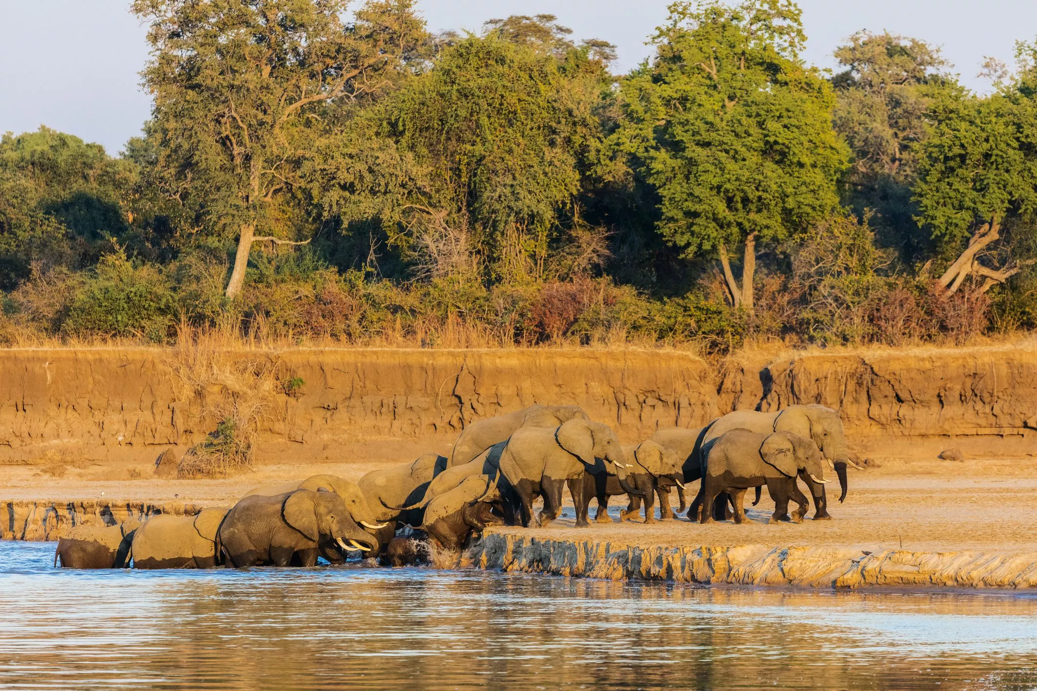 South Luangwa National Park in Zambia, Africa | Parks,Safari,Trekking & Hiking - Rated 0.7