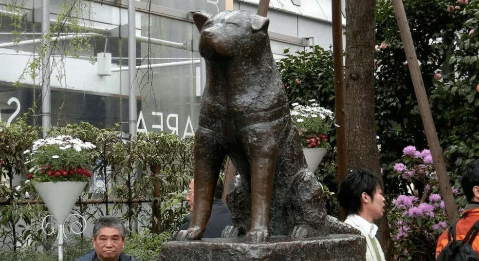 Statue of the Faithful Dog Hachiko in Japan, East Asia | Monuments - Rated 4.3
