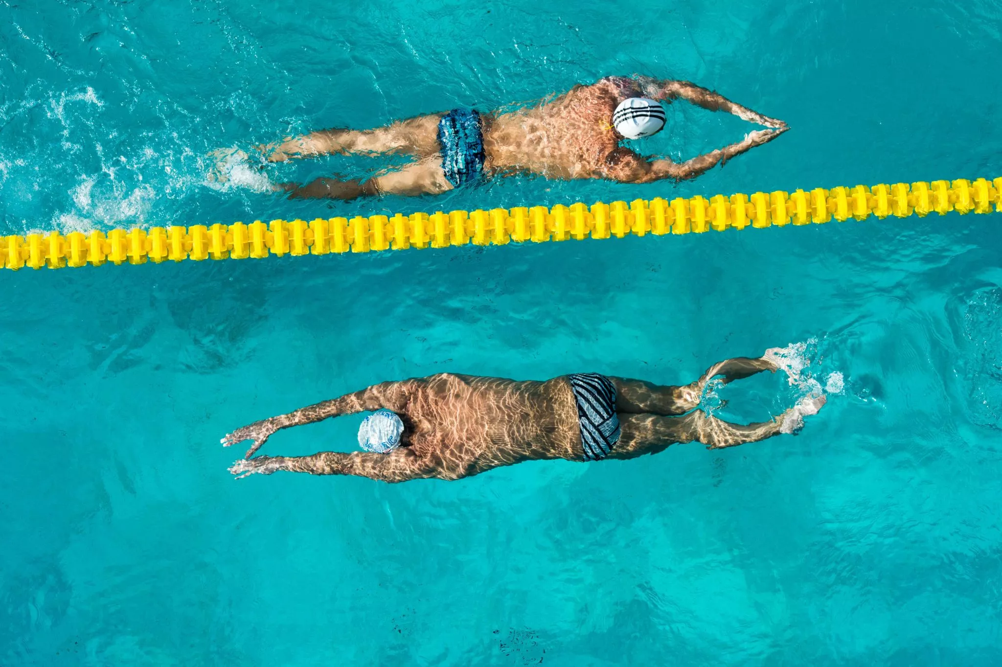 Toronto Swim Club in Canada, North America | Swimming - Rated 0.9