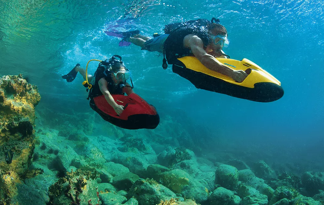 Stuart Cove's Dive in Bahamas, Caribbean | Diving - Rated 4
