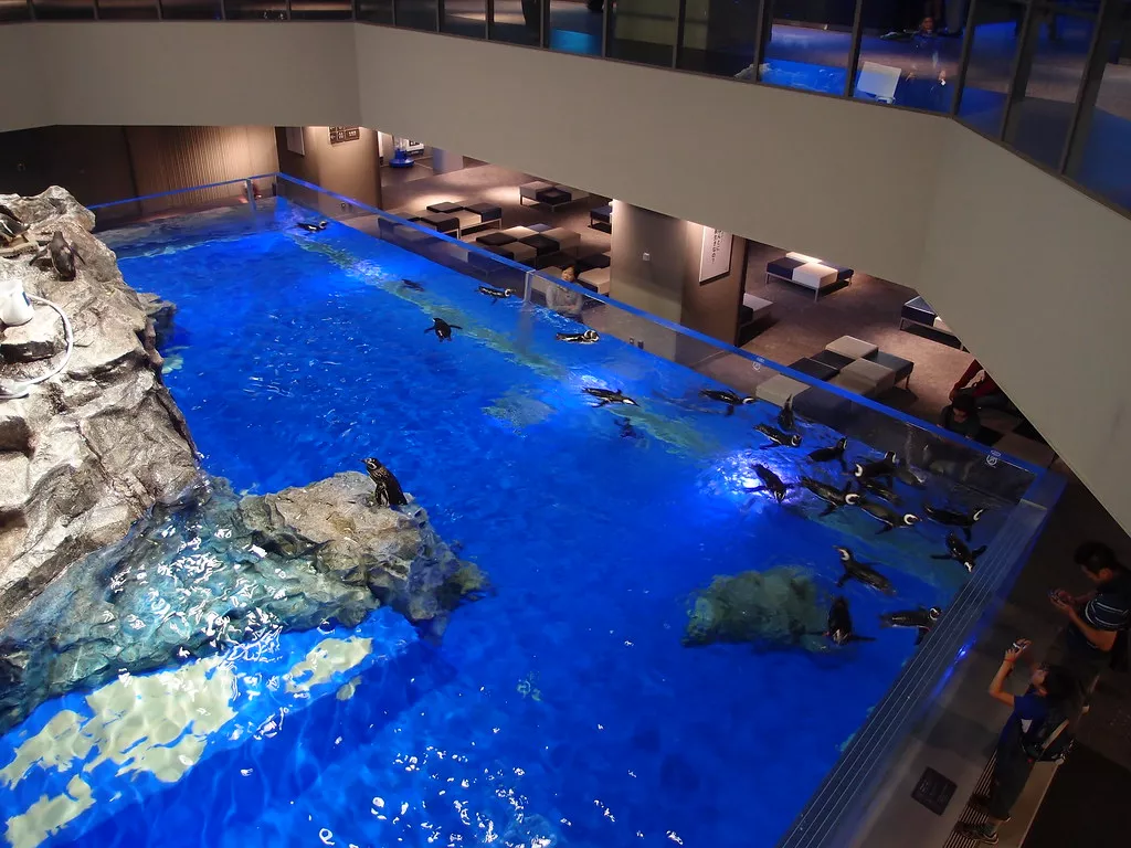 Sumida Aquarium in Japan, East Asia | Aquariums & Oceanariums - Rated 4