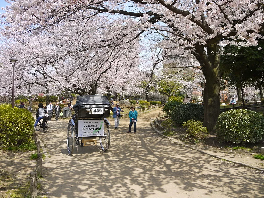 Sumida Park in Japan, East Asia | Parks - Rated 3.3