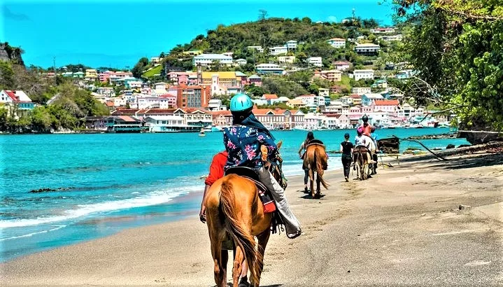 Sweet Grenada Tours in Grenada, Caribbean | Horseback Riding - Rated 1