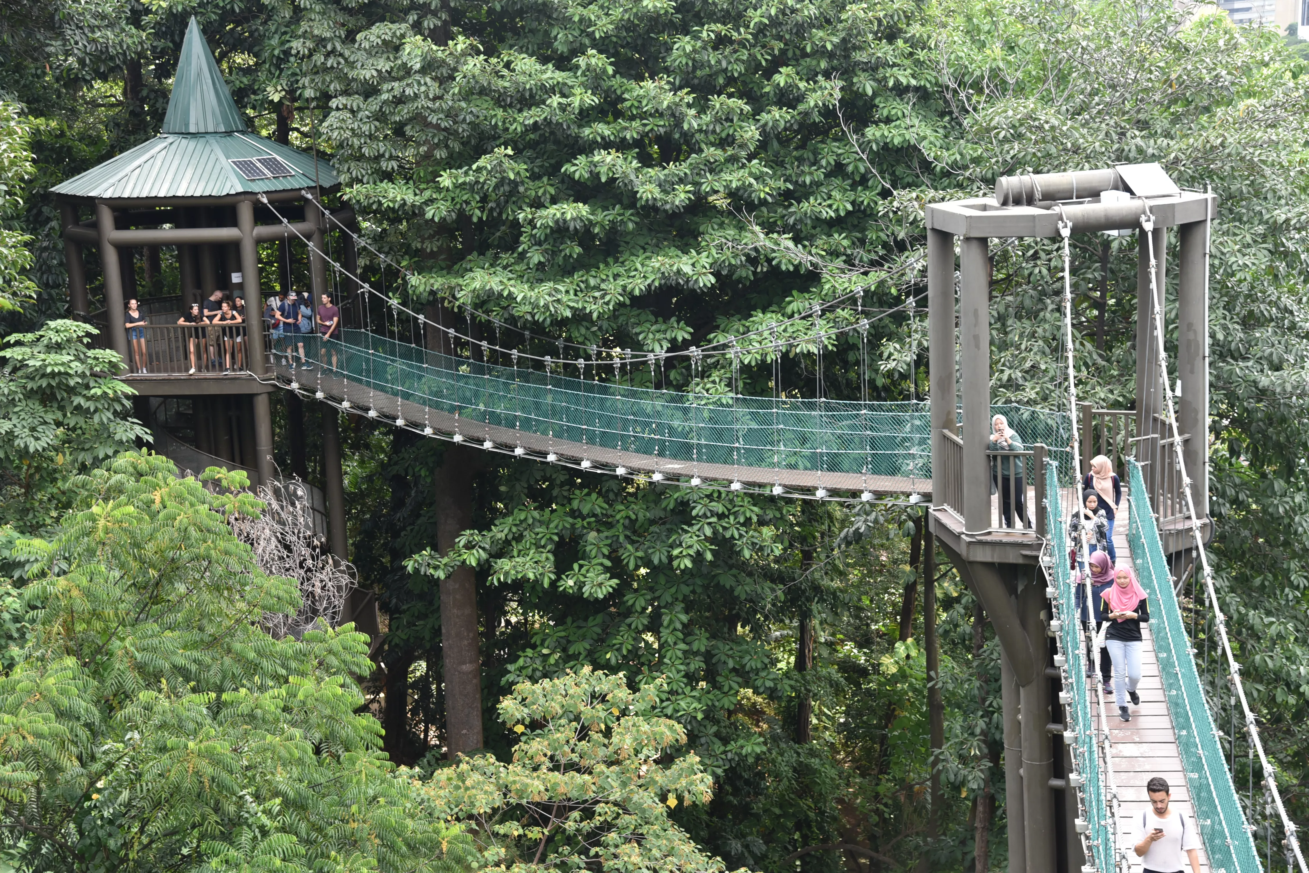 Taman Eko-Rimba in Malaysia, East Asia | Trekking & Hiking - Rated 0.7