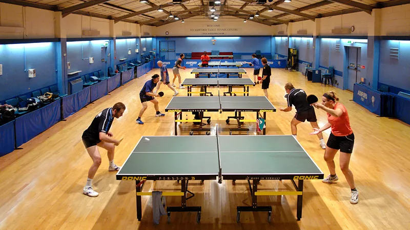 Table Tennis Center Langegasse in Austria, Europe | Ping-Pong - Rated 1
