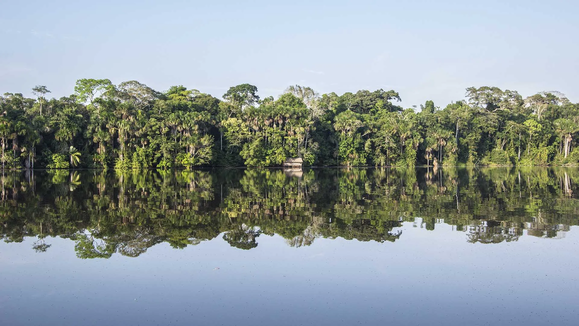 Tambopata National Reserve in Peru, South America | Nature Reserves - Rated 3.8