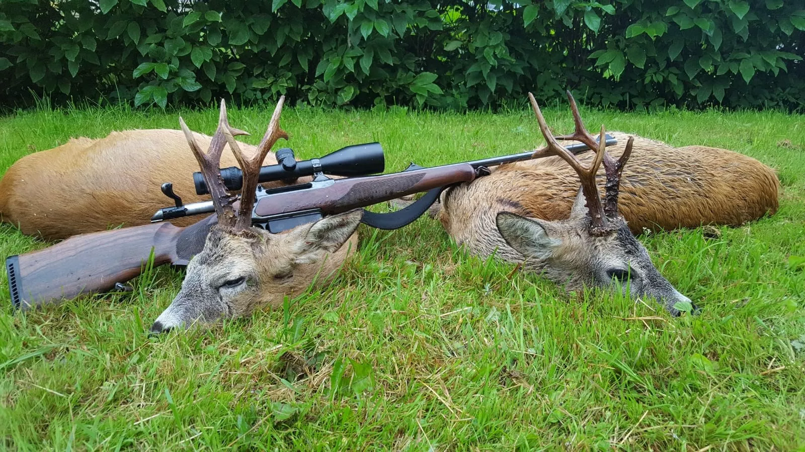 Tartu Jahindusklubi in Estonia, Europe | Hunting - Rated 1