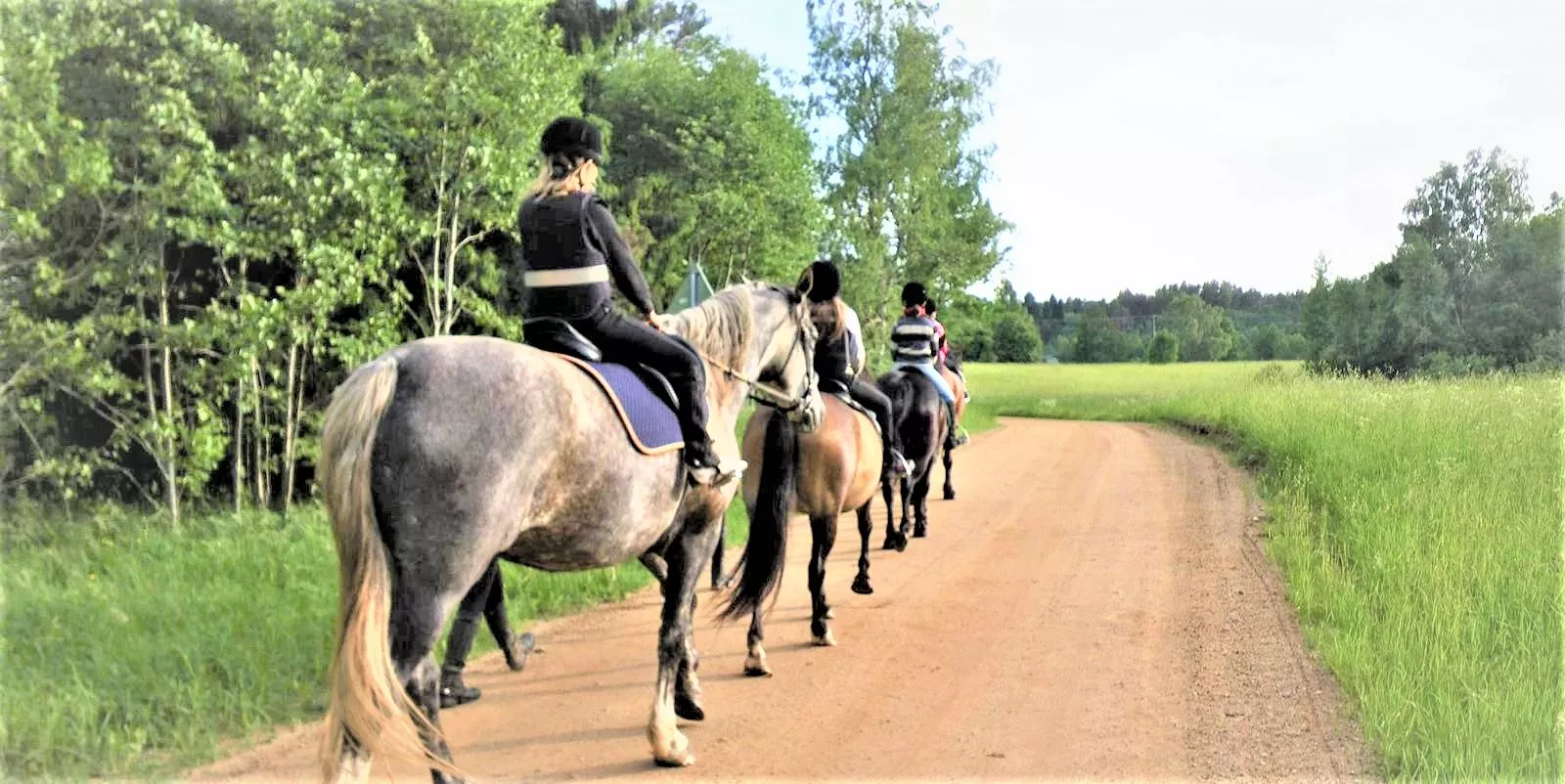 Tartu ratsakool in Estonia, Europe | Horseback Riding - Rated 3.9