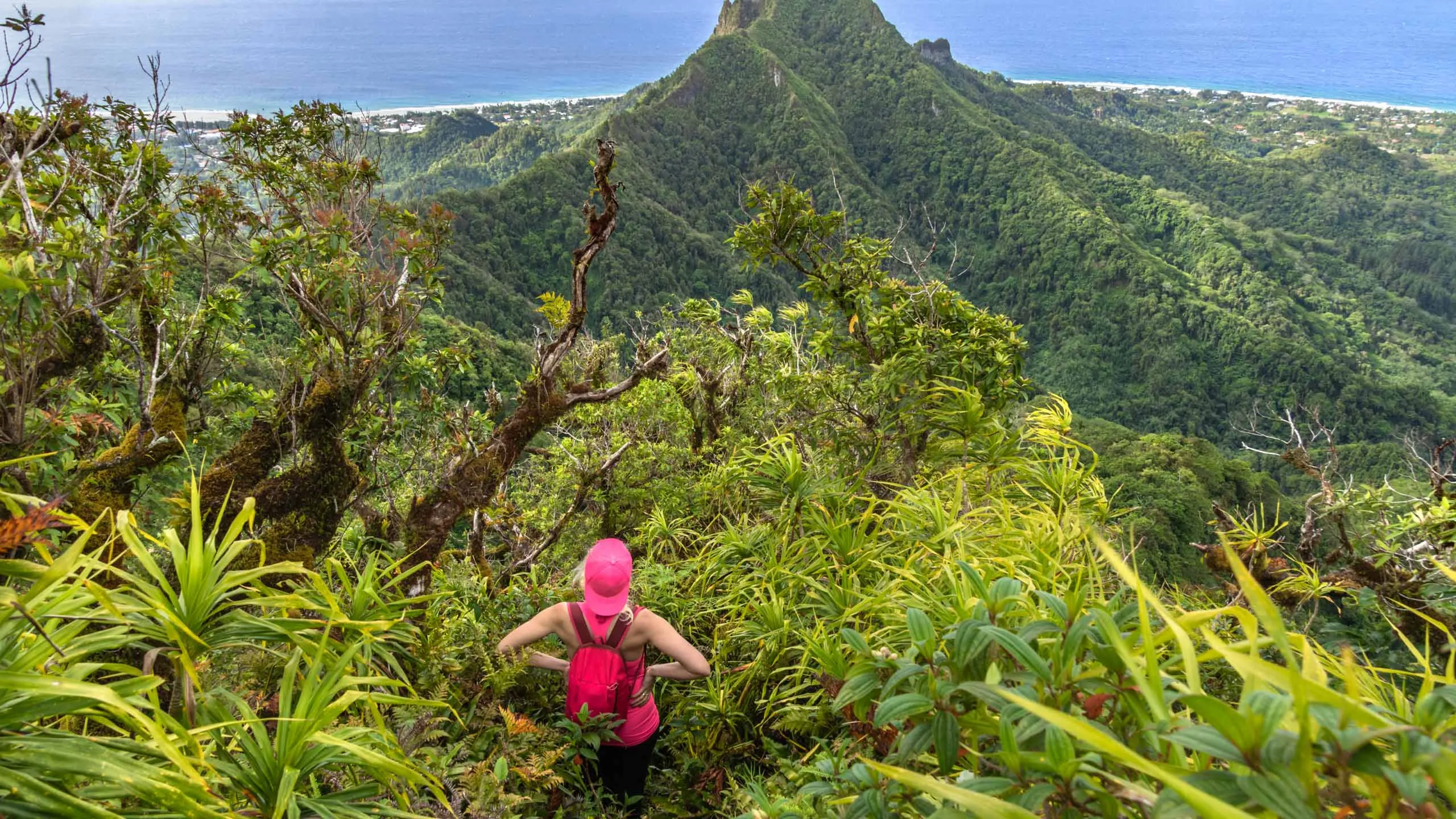 Te Manga Track in Cook Islands, Australia and Oceania | Trekking & Hiking - Rated 0.7