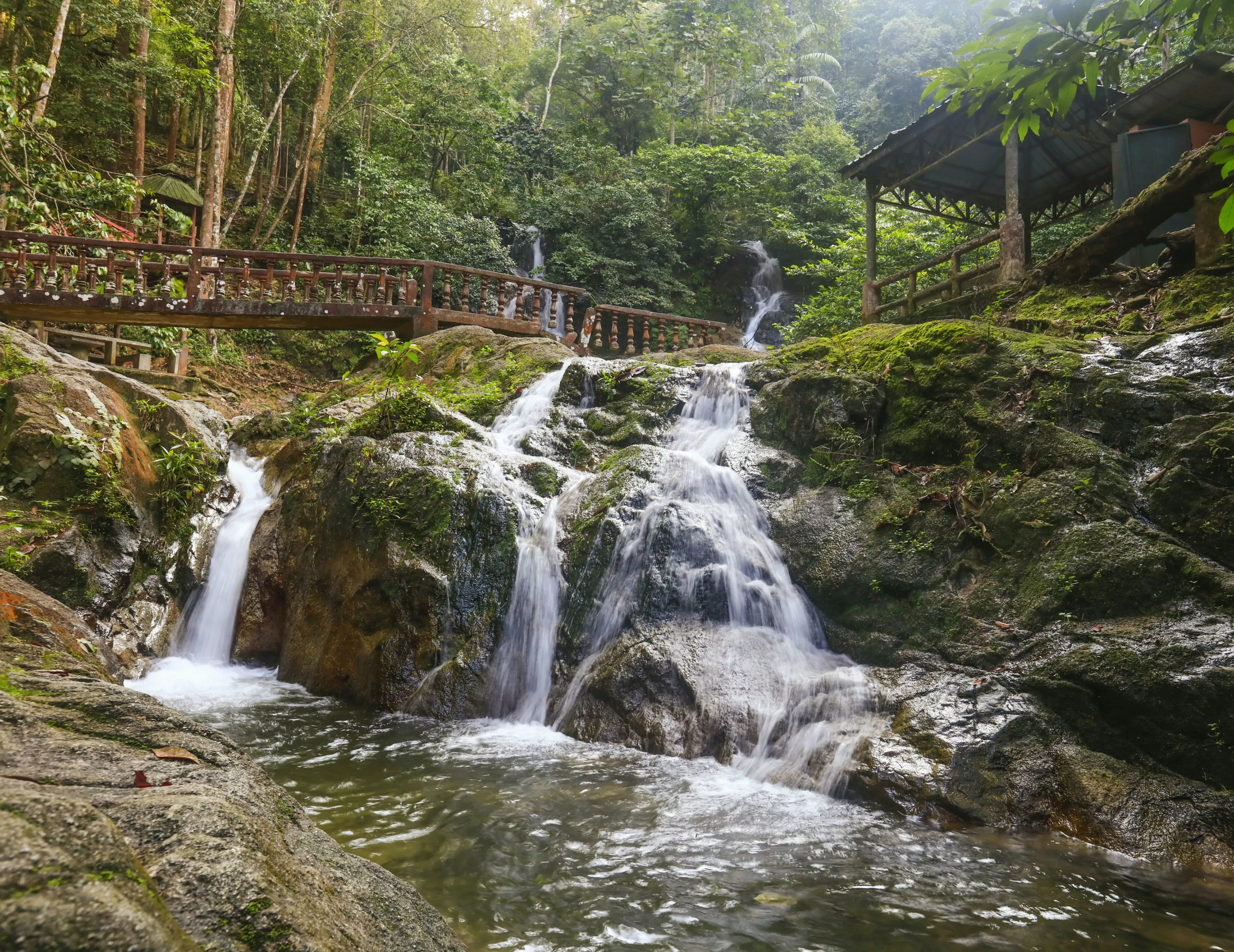 Templer Park in Malaysia, East Asia | Trekking & Hiking - Rated 0.9