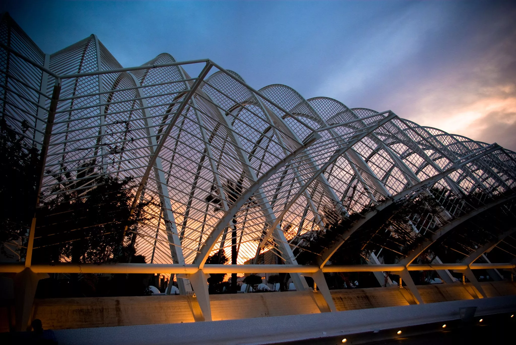 Terraza L'Umbracle in Spain, Europe | Nightclubs - Rated 4