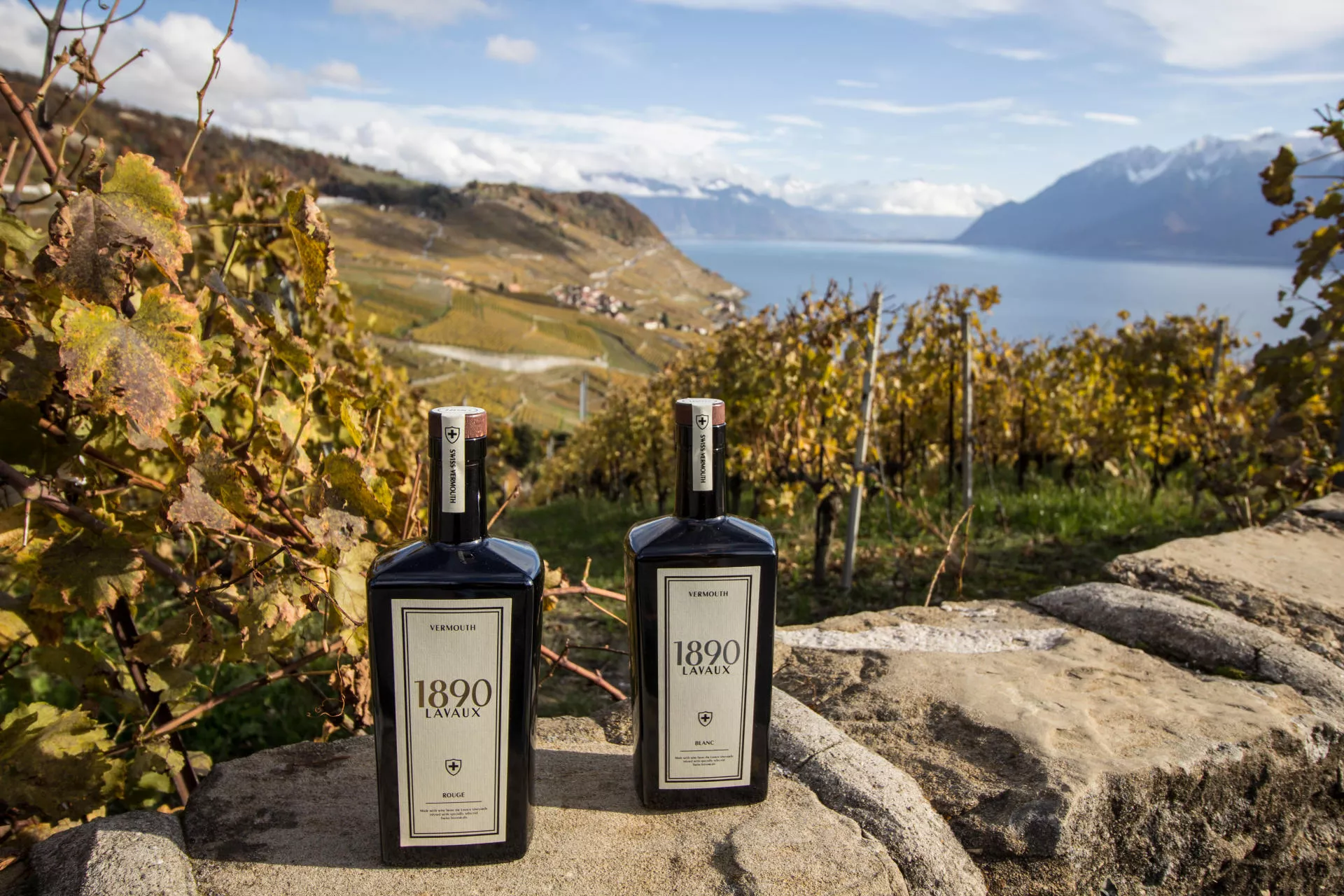 Terres de Lavaux and Eureka Vins in Switzerland, Europe | Wineries - Rated 0.9