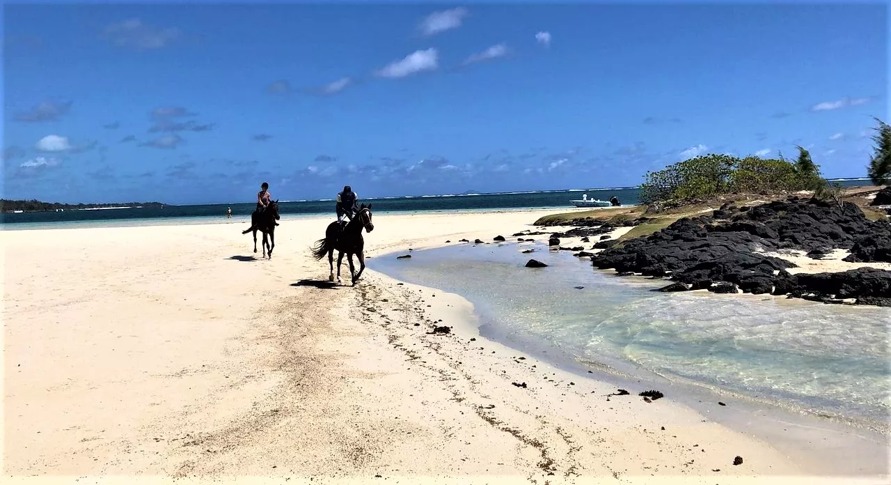 The Forbach Stables in Mauritius, Africa | Horseback Riding - Rated 1