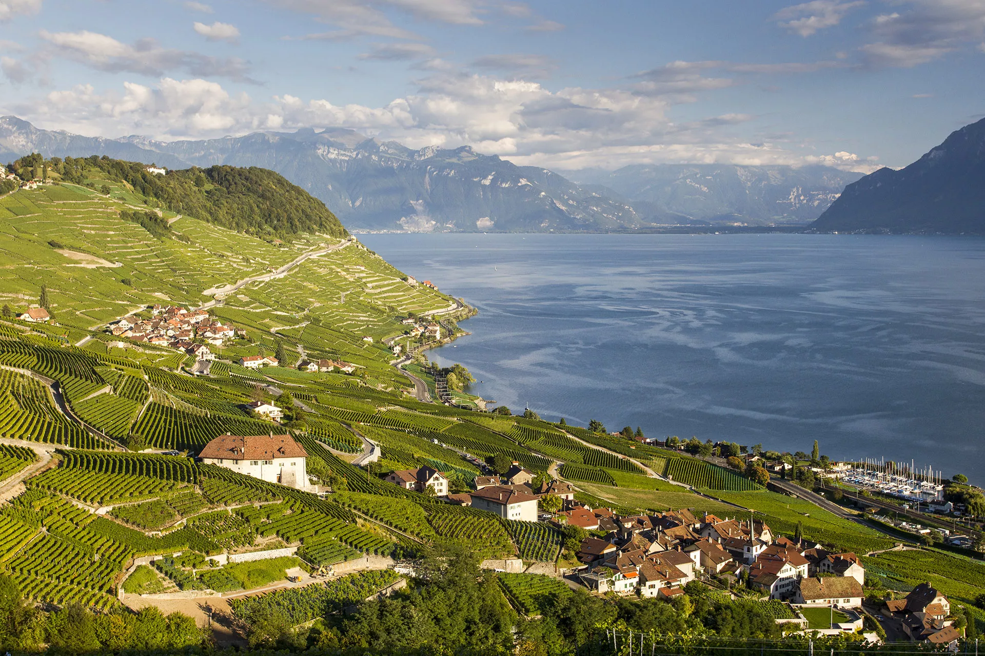 The Lavaux Vineyard in Switzerland, Europe | Wineries,Trekking & Hiking - Rated 1