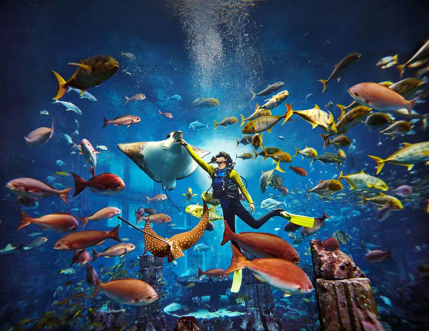The Lost Chambers Aquarium in United Arab Emirates, Middle East | Aquariums & Oceanariums - Rated 4.4