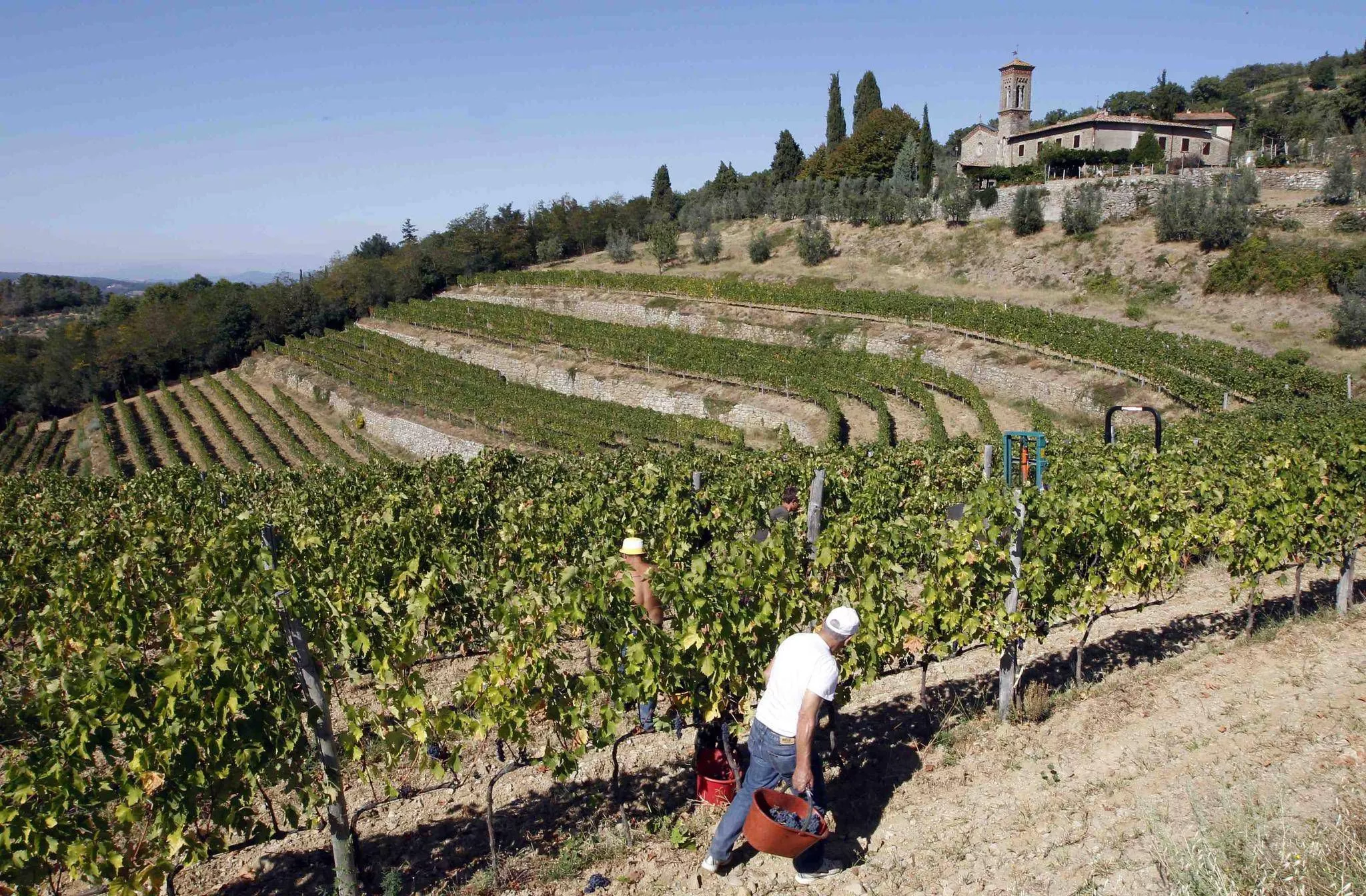 The Molino di Grace in Italy, Europe | Wineries - Rated 0.9