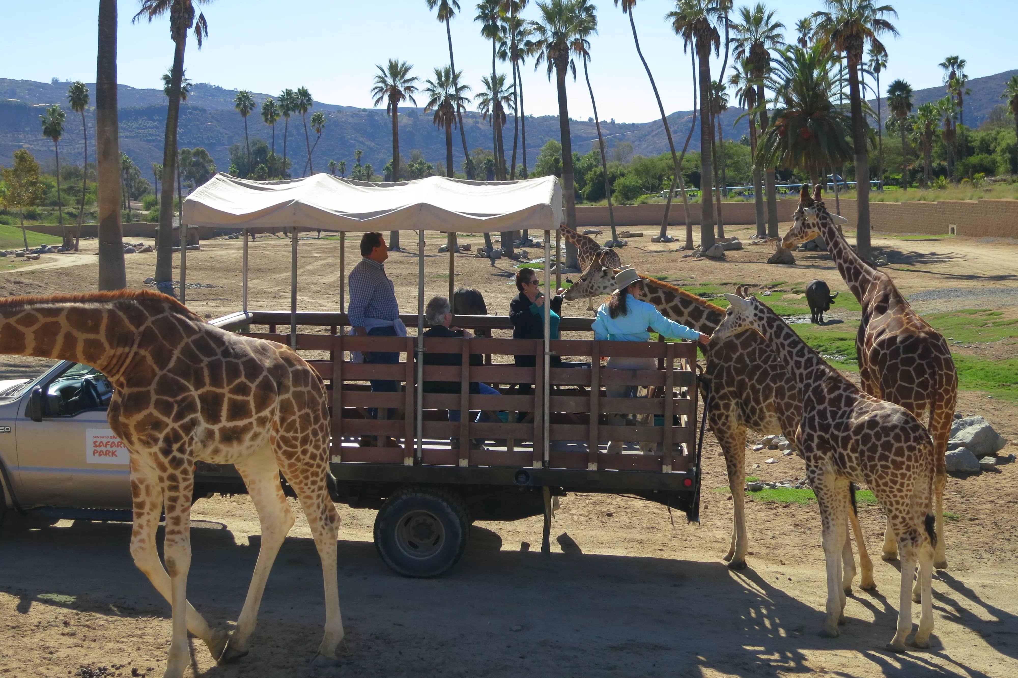 The San Diego Zoo Safari Park in USA, North America | Safari - Rated 7.4