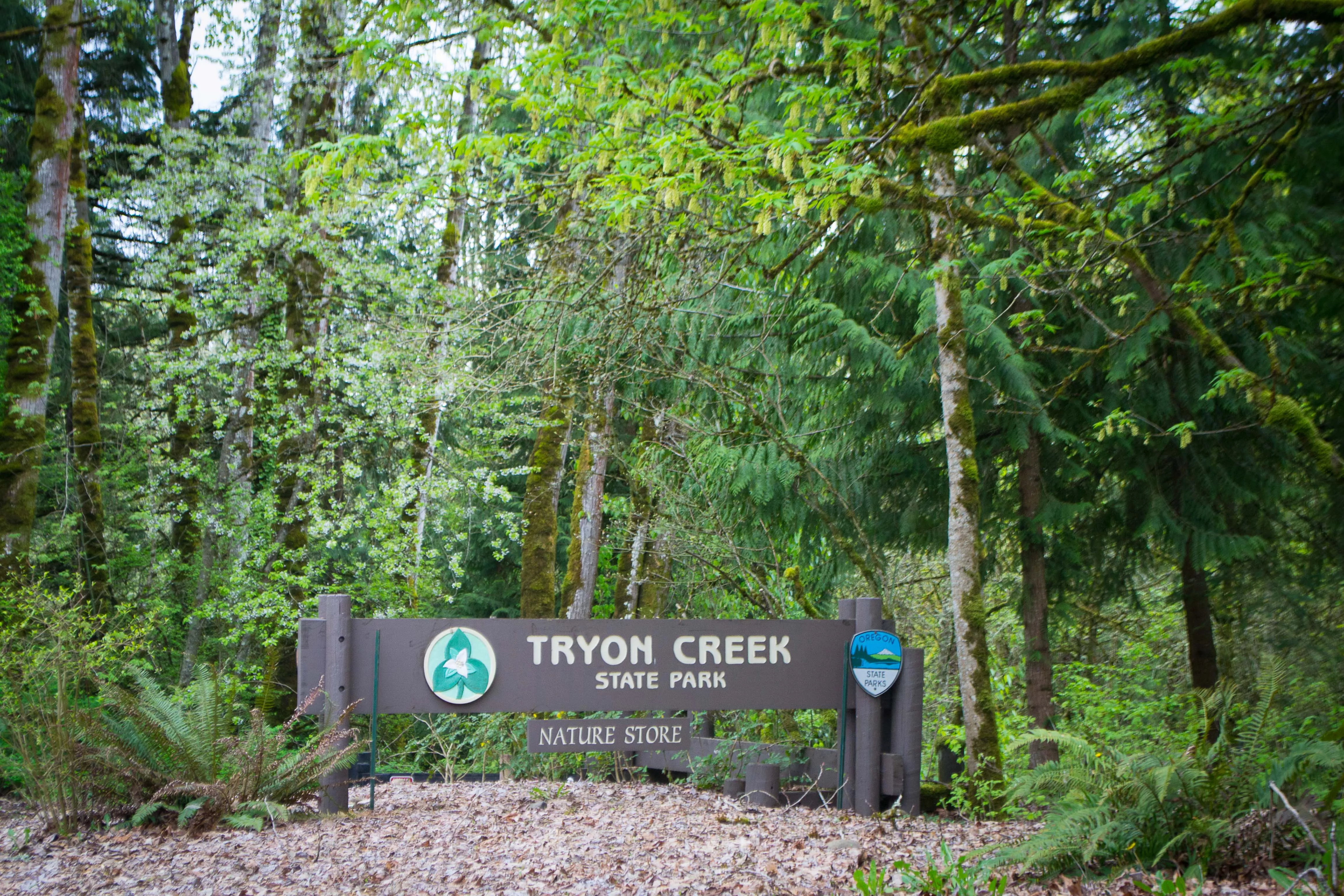 The Tryon Creek State Natural Area in USA, North America | Parks - Rated 3.9