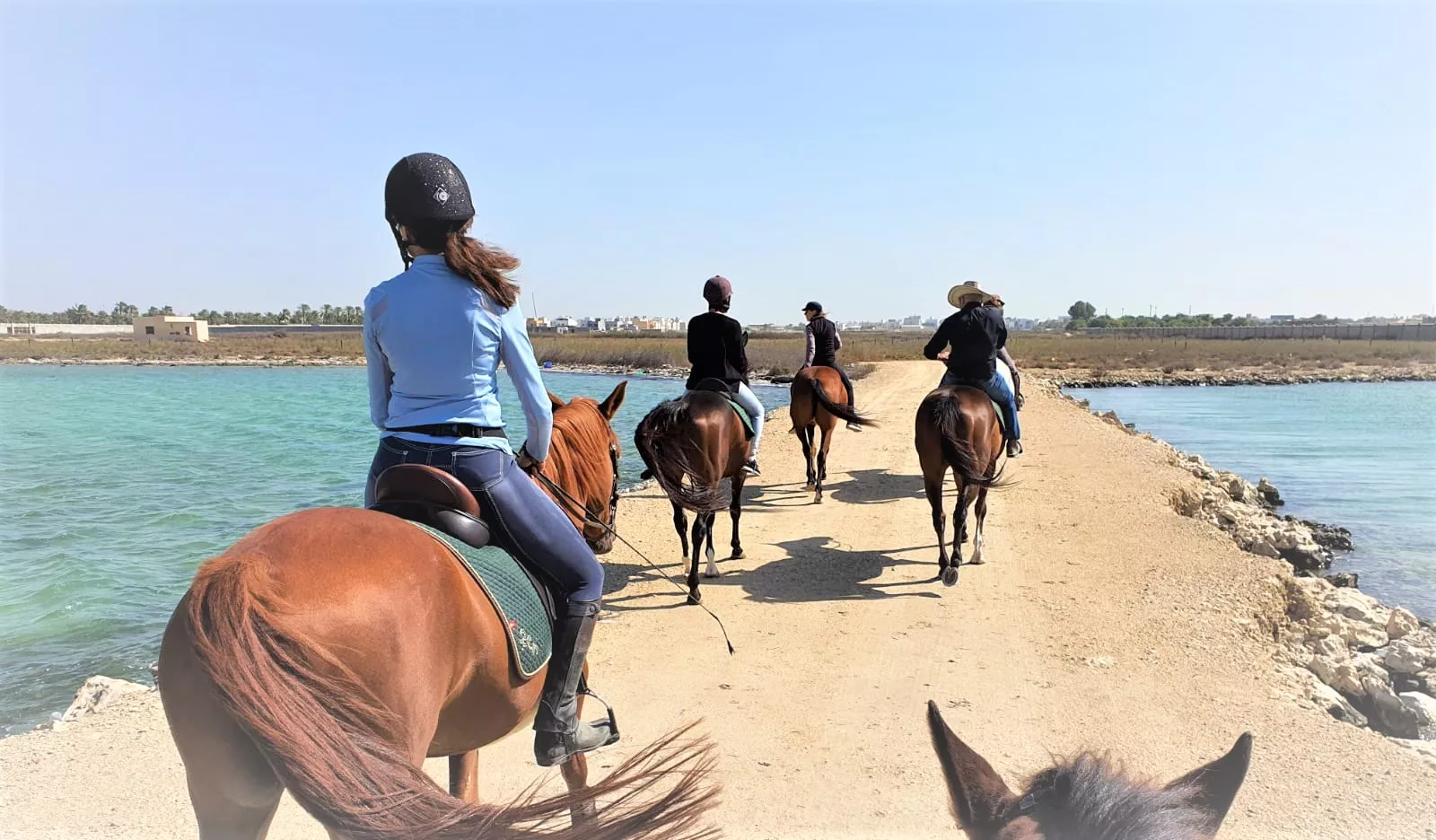 The ranch resort in Bahrain, Middle East | Horseback Riding - Rated 0.9