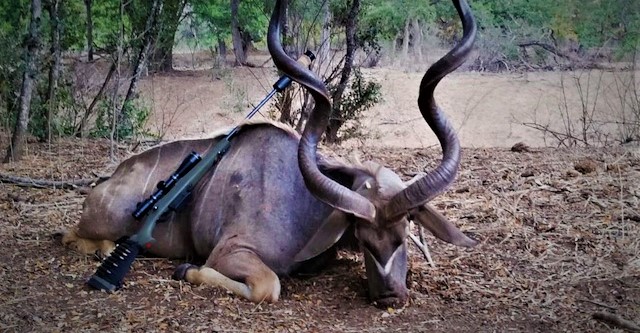 Thulanisafaris - South African Hunting Safaris & Trophy hunting in South Africa, Africa | Hunting - Rated 1.2