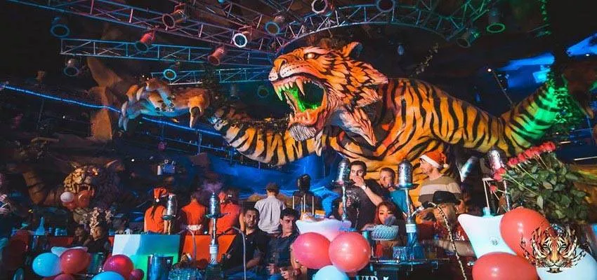 Tiger in Thailand, Central Asia | Nightclubs - Rated 3.4