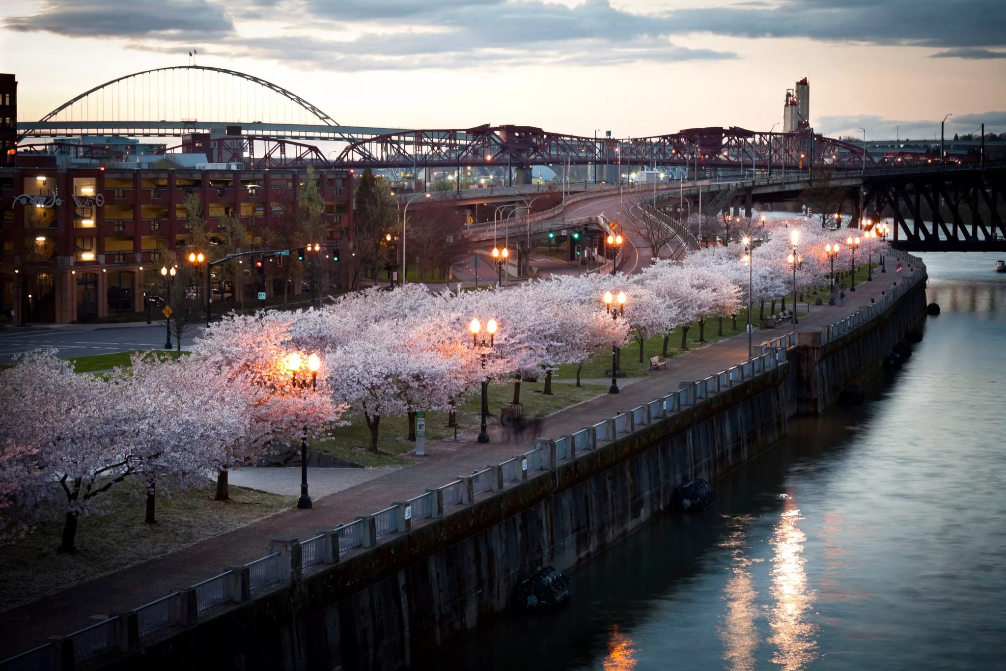 Tom McCall Waterfront Park in USA, North America | Parks - Rated 3.6