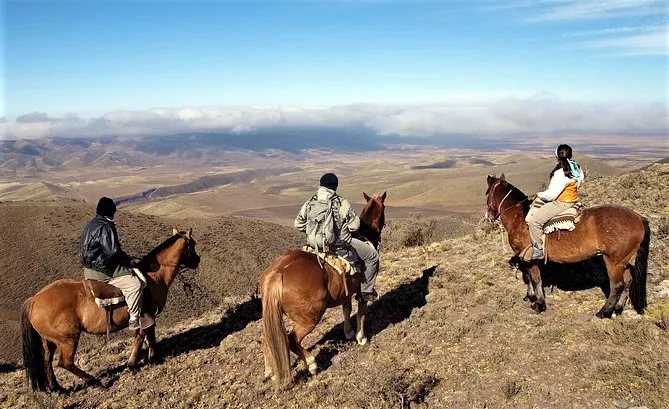 Tom Wesley Cabalgatas in Argentina, South America | Horseback Riding - Rated 6.5