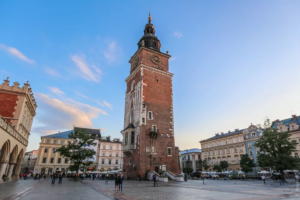 Town Hall Tower in Poland, Europe  - Rated 3.7
