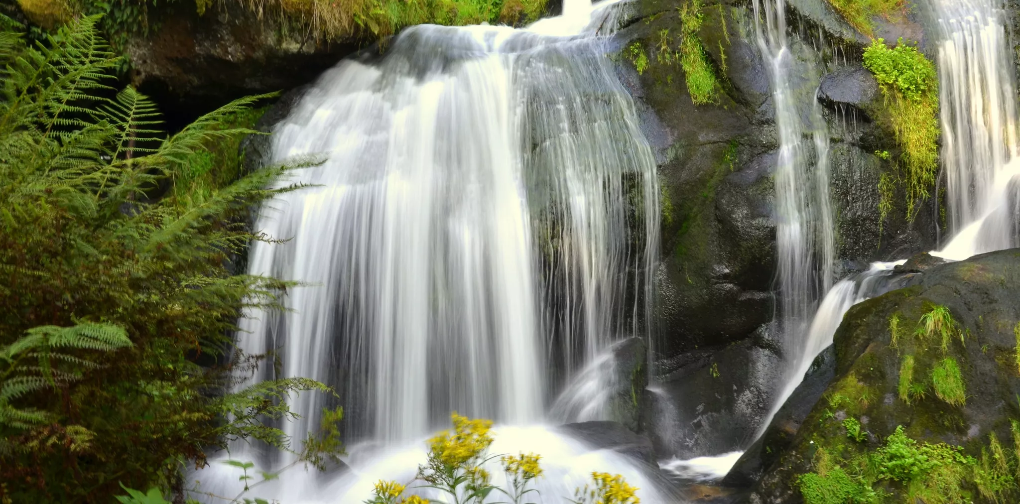Triberg Waterfalls in Germany, Europe | Waterfalls,Trekking & Hiking - Rated 4.1