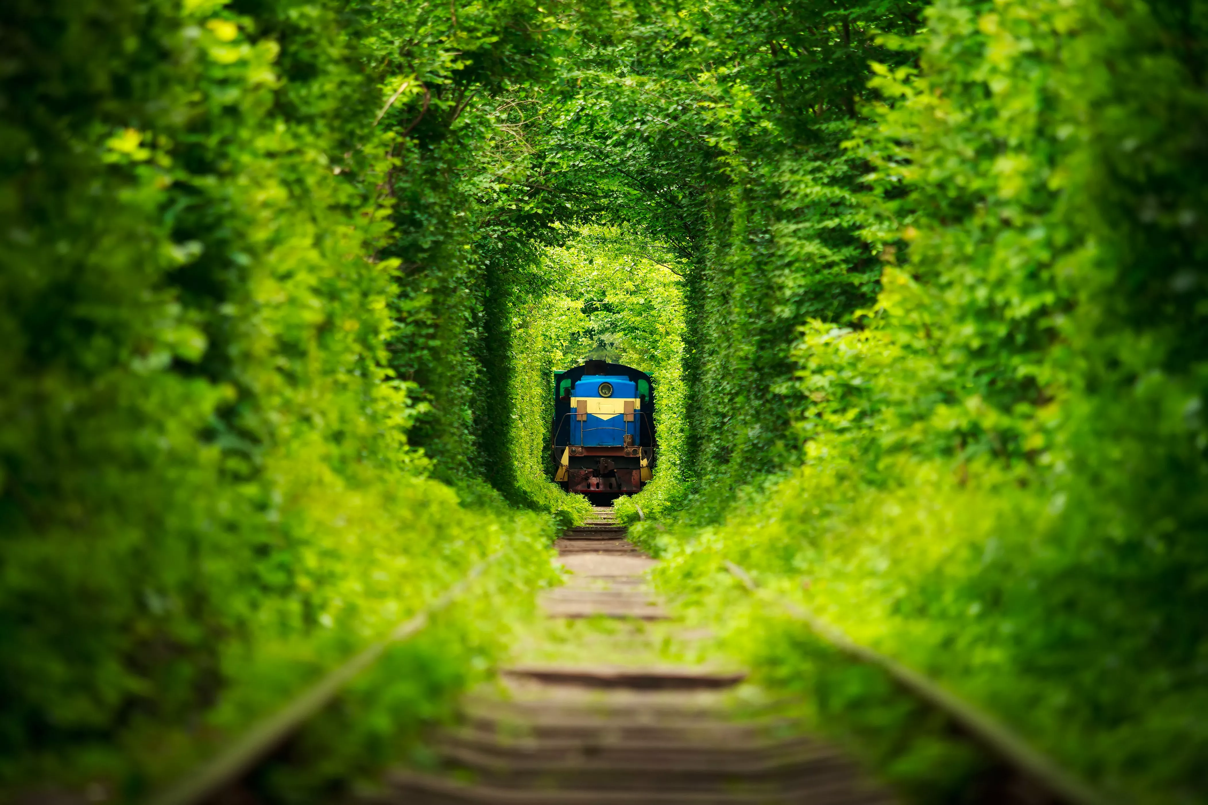 Tunnel of Love in Ukraine, Europe | Love & Romance - Rated 3.6
