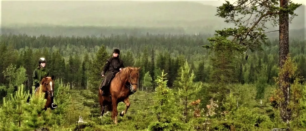 Tuomarinkylan Maneesi Oy in Finland, Europe | Horseback Riding - Rated 0.8