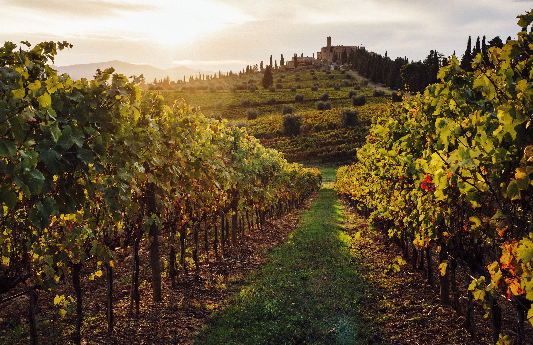 Guardastelle in Italy, Europe | Wineries - Rated 4