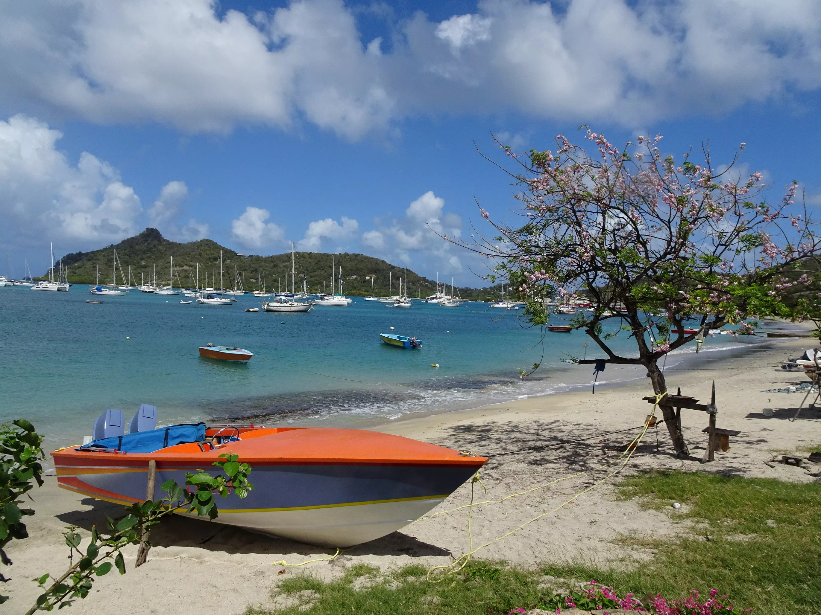 Tyrell Bay Beach in Grenada, Caribbean | Beaches - Rated 0.8