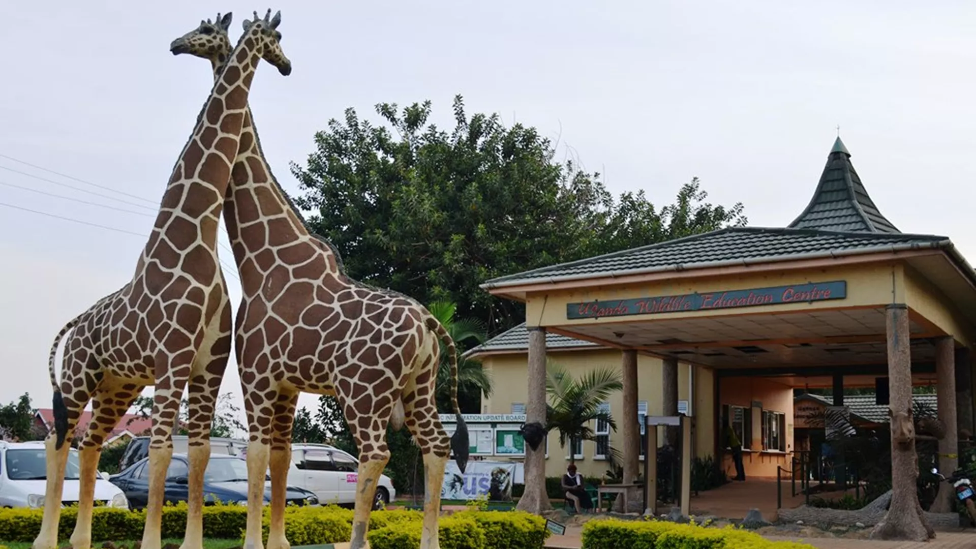 Uganda Wildlife Conservation Education Center in Uganda, Africa | Zoos & Sanctuaries - Rated 3.8