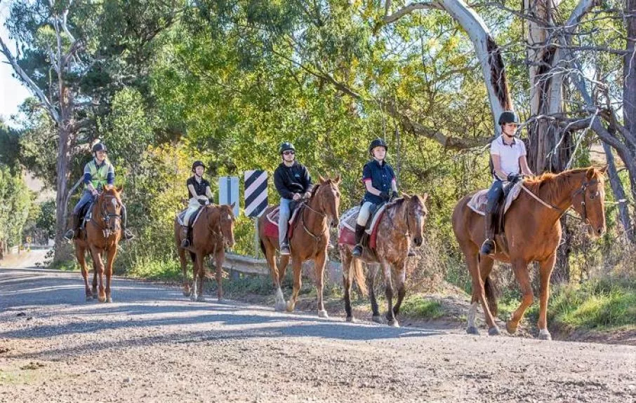 Uncle Nev's Trail Riding in Australia, Australia and Oceania | Horseback Riding - Rated 4.4