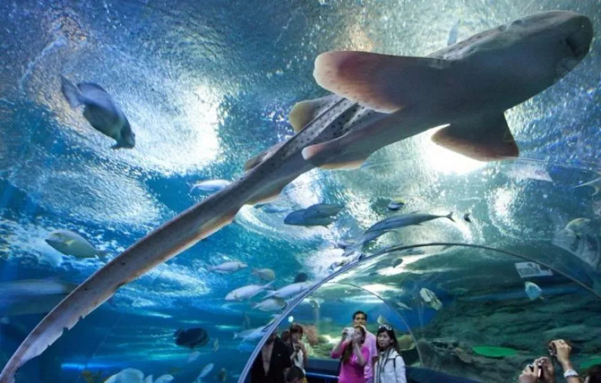 Underwater World Langkawi in Malaysia, East Asia | Aquariums & Oceanariums - Rated 4.2