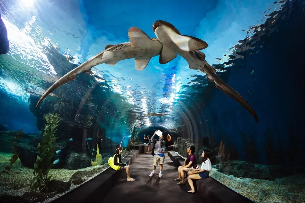 Underwater World Pattaya in Thailand, Central Asia | Aquariums & Oceanariums - Rated 4.3