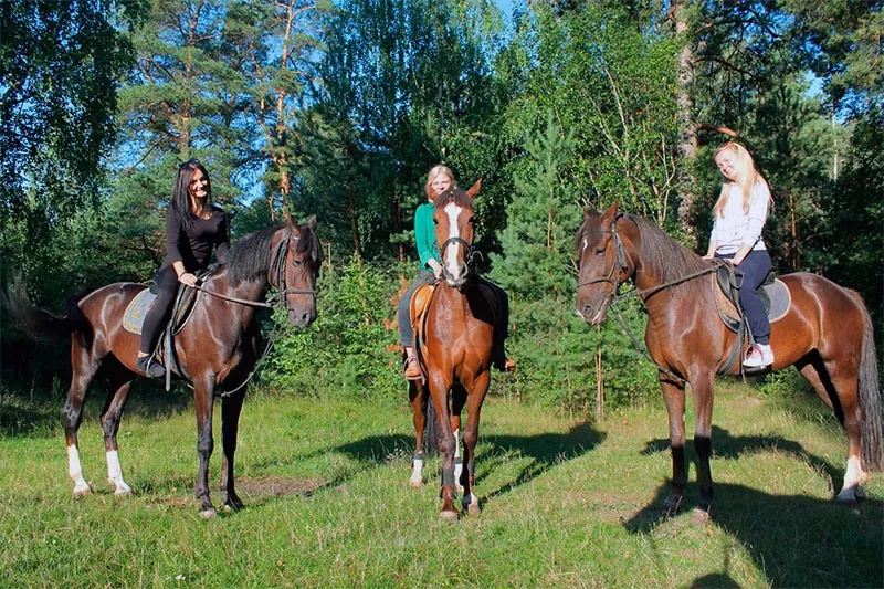 Usad'ba Gaspadar in Belarus, Europe | Horseback Riding - Rated 0.8